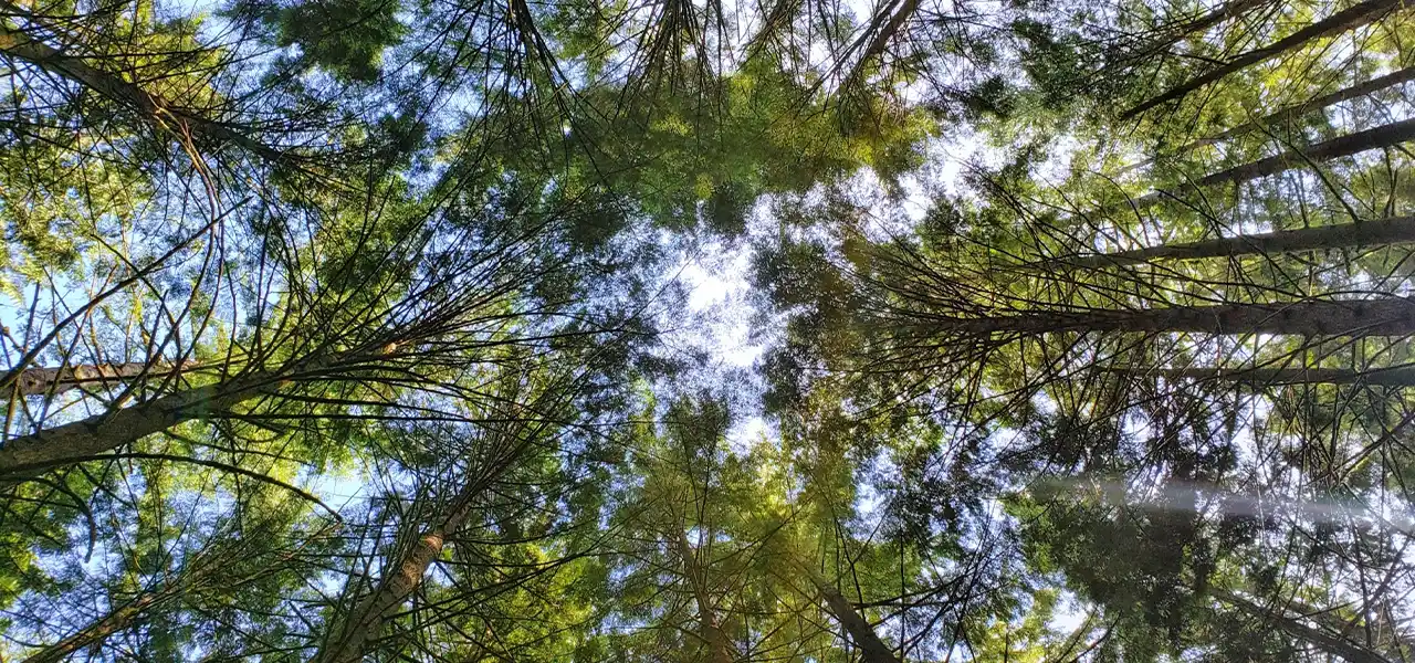 お知らせ記事一覧